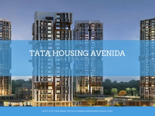 Get special offer in Tata Avenida Price