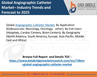 angiographic catheter market