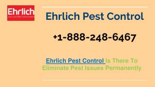 Ehrlich Pest Control