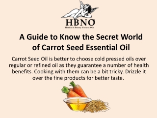 A Guide to Know the Secret World of Carrot Seed Essential Oil