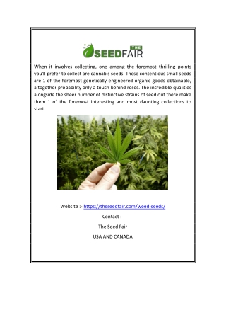 Weed Seeds Canada | Theseedfair.com