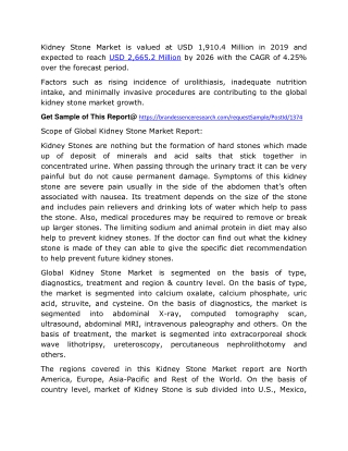 Kidney Stone Market: Global Industry Analysis and Opportunity Assessment 2020-2025
