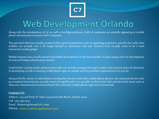 Web Development Miami