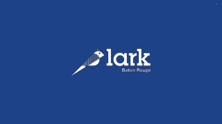 Off Campus Student Housing For College Students - Lark Baton Rouge