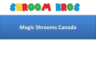 Magic Shrooms Canada