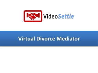 Virtual Divorce Mediator