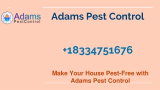 Adams Pest Control