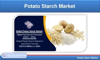 Potato Starch Market, Volume & Global Forecast, by Products