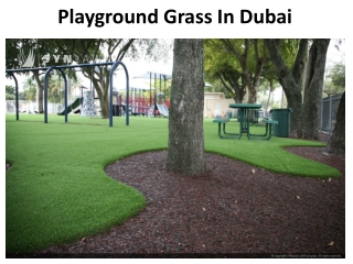 Playground Grass In Dubai