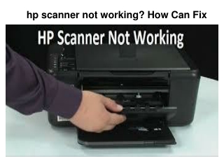 hp scanner not working? How Can Fix