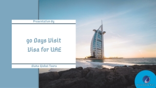 90 Days Visit  Visa for UAE