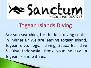 Togean Islands Diving