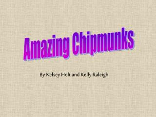 Amazing Chipmunks