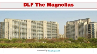 5 BHK Apartment for Rent in Gurugram- DLF The Magnolias