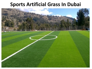 Sports Artificial Grass In Dubai