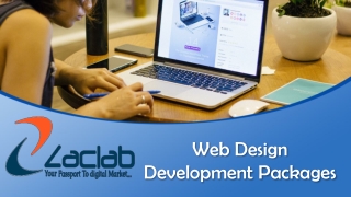 Web Design Development Packages - zaclab