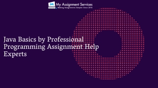 Programming Assignment Help by My Assignment Services