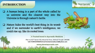 Ayurvedic Treatment Centre in India - Planet Ayurveda