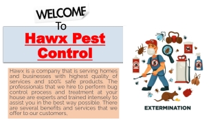 Hawx Pest Control gives you effective pest control services