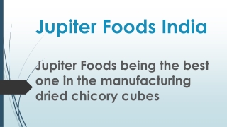 Jupiter Foods being the best one in the manufacturing dried chicory cubes