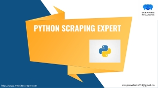 Hire Python Scraping Expert | Best Python Web Scraping services USA