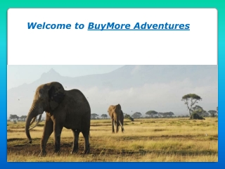 How to Enjoy Kenya on Budget