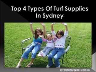 Top 4 Types Of Turf Supplies In Sydney