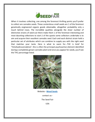 Weed Seeds | Theseedfair.com