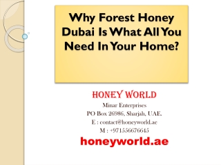 Why Forest Honey Dubai Is What All You Need In Your Home?