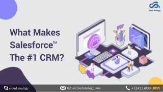 What Makes Salesforce The #1 CRM?