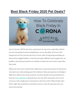 Best Black Friday 2020 Pet Deals