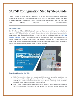 SAP SD Configuration Step by Step Guide