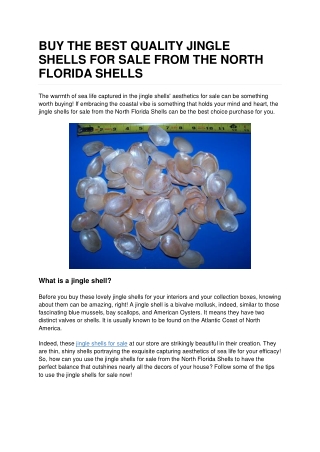 Buy the Best Quality Jingle Shells for Sale from The North Florida Shells