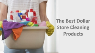The Best Dollar Store Cleaning Products