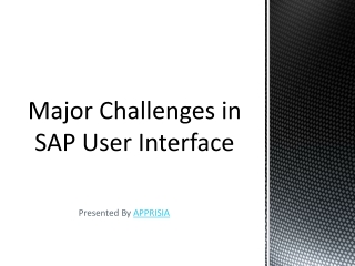 Major Challenges in SAP User Interface