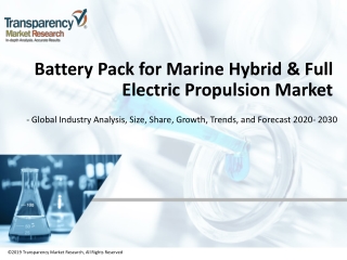 Battery Pack for Marine Hybrid & Full Electric Propulsion Market Analysis 2030