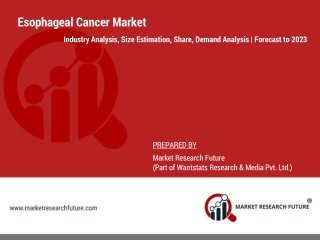Esophageal Cancer Industry, Size, Share, Regional and Segmental Analysis | Global Forecast – 2023