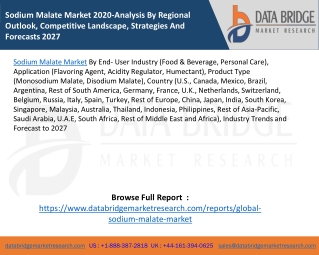 Sodium Malate Market 2020-Analysis By Regional Outlook, Competitive Landscape, Strategies And Forecasts 2027