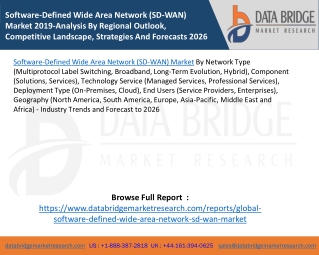 Software-Defined Wide Area Network (SD-WAN) Market 2019-Analysis By Regional Outlook, Competitive Landscape, Strategies