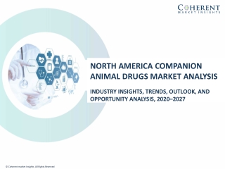 North America Companion Animal Drugs Market To Reach US$ 14,065.8 Million By 2027 - Coherent Market Insights