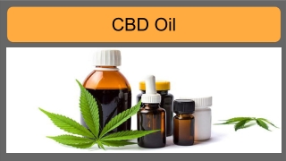 CBD Oil