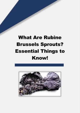 What Are Rubine Brussels Sprouts? Essential Things to Know!