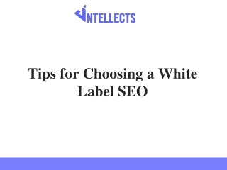 Tips for Choosing a White Label SEO.