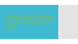 Social Media Marketing Services in Singapore