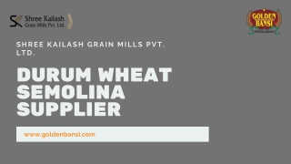 Durum Wheat for Pasta Manufacturing - Shree Kailash Grain Mills