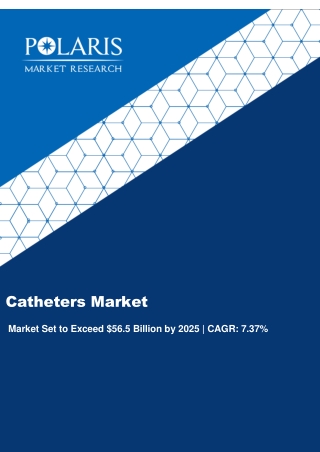 Catheters Market Size & Forecast, 2017 – 2025