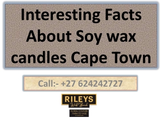 Interesting Facts About Soy wax candles Cape Town