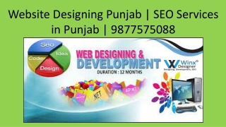 Website Designing Punjab | SEO Services in Punjab | 9877575088