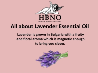 All about Lavender Essential Oil