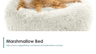 Marshmallow cat bed